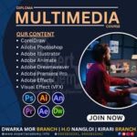 MULTI MEDIA COURSE IN DAWARKA